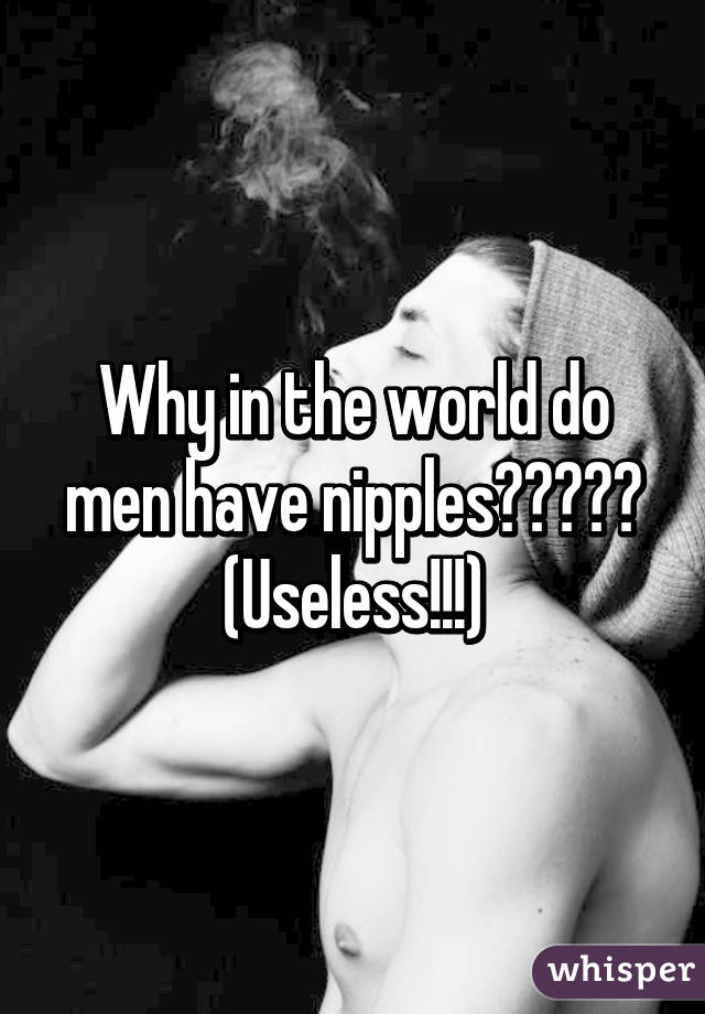 Why in the world do men have nipples????? (Useless!!!)