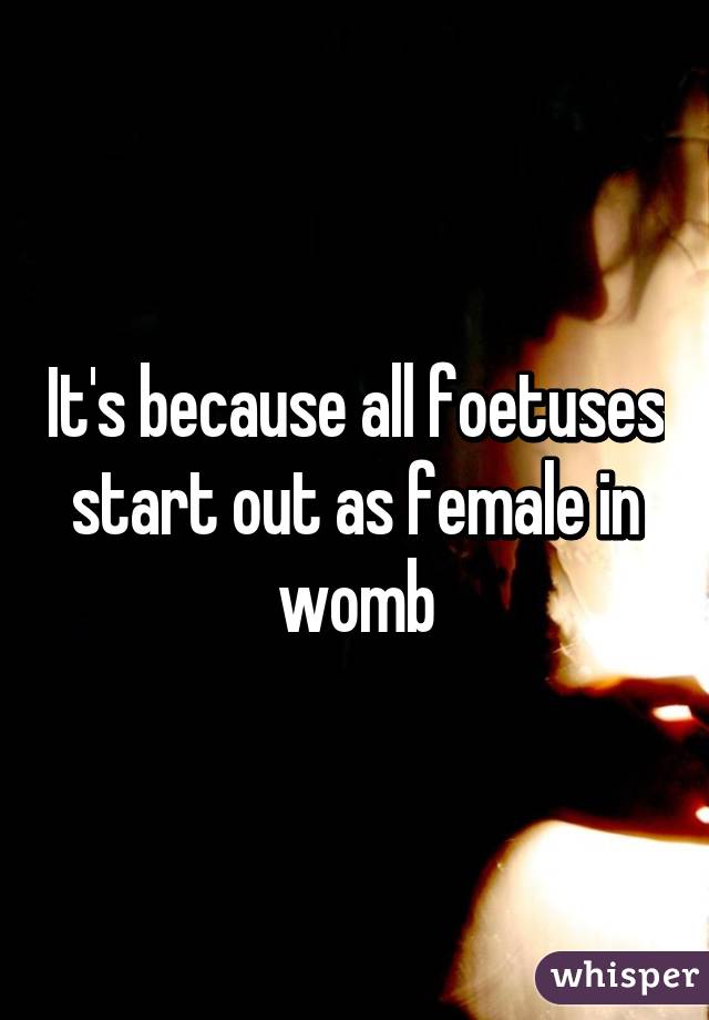 It's because all foetuses start out as female in womb