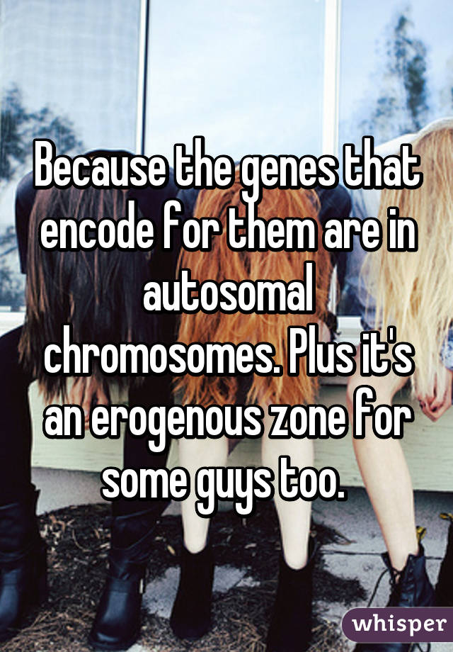 Because the genes that encode for them are in autosomal chromosomes. Plus it's an erogenous zone for some guys too. 