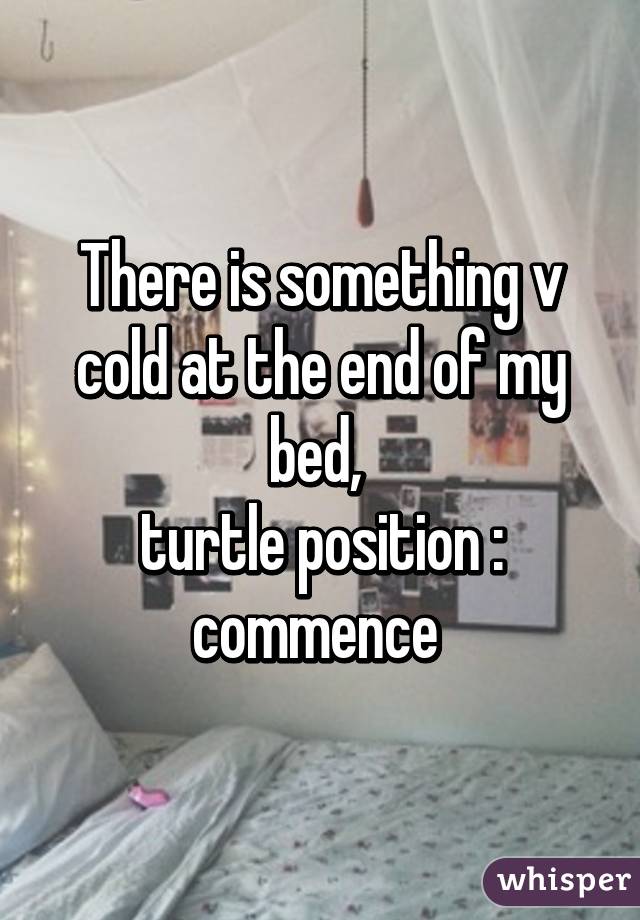 There is something v cold at the end of my bed, 
turtle position : commence 