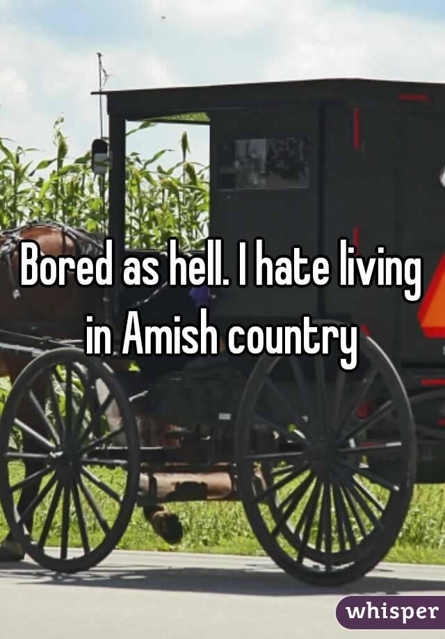 Bored as hell. I hate living in Amish country 