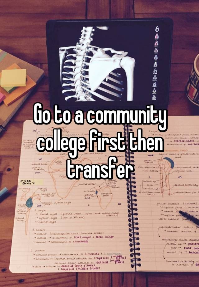 go-to-a-community-college-first-then-transfer