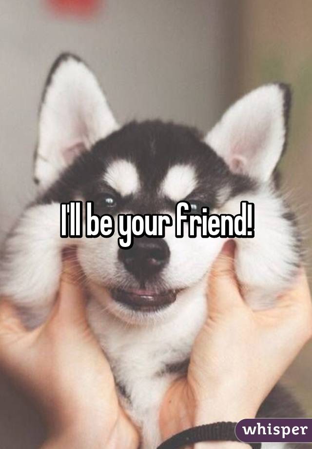I'll be your friend!