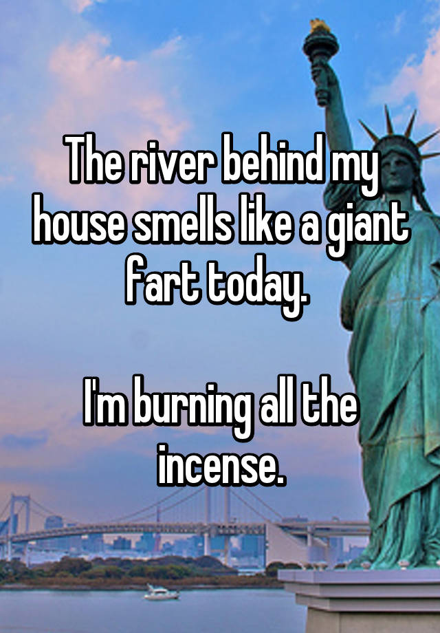 The river behind my house smells like a giant fart today. I'm burning