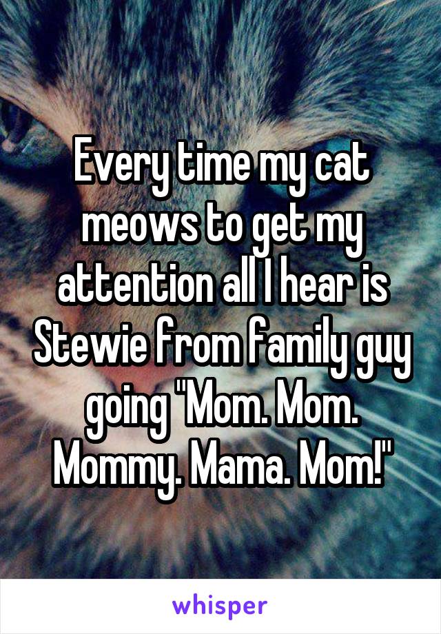 Every time my cat meows to get my attention all I hear is Stewie from family guy going "Mom. Mom. Mommy. Mama. Mom!"