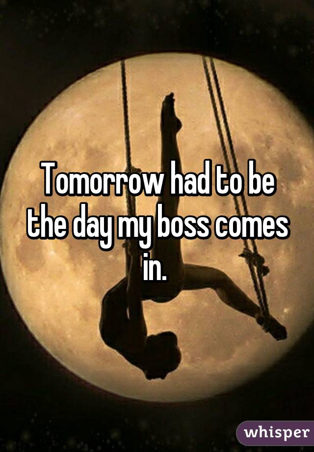 Tomorrow had to be the day my boss comes in. 