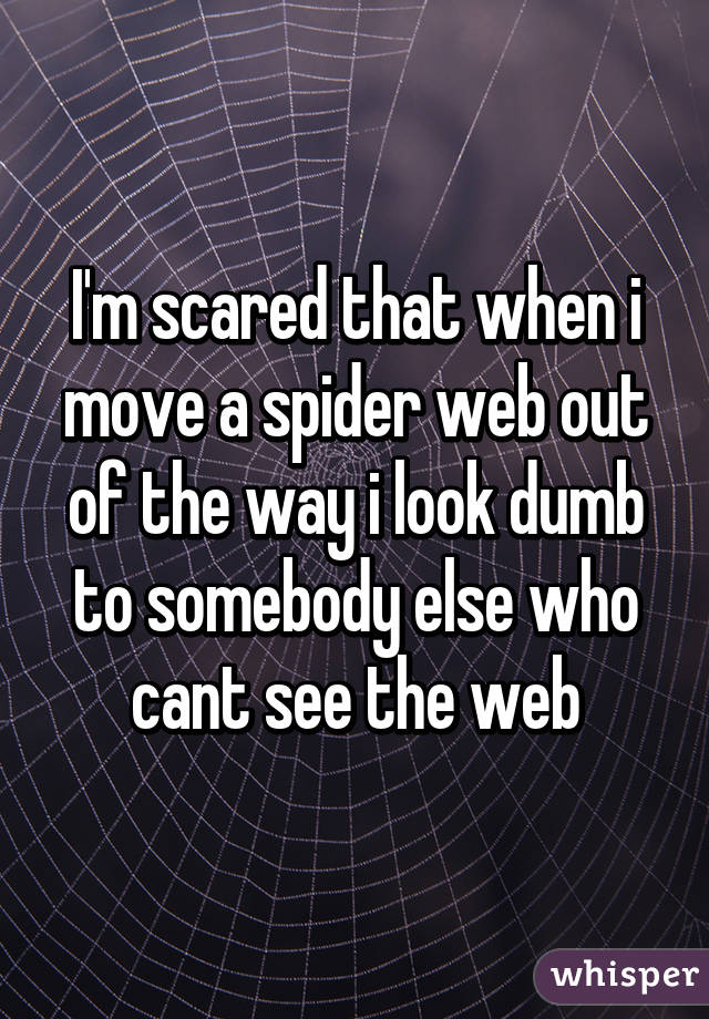 I'm scared that when i move a spider web out of the way i look dumb to somebody else who cant see the web