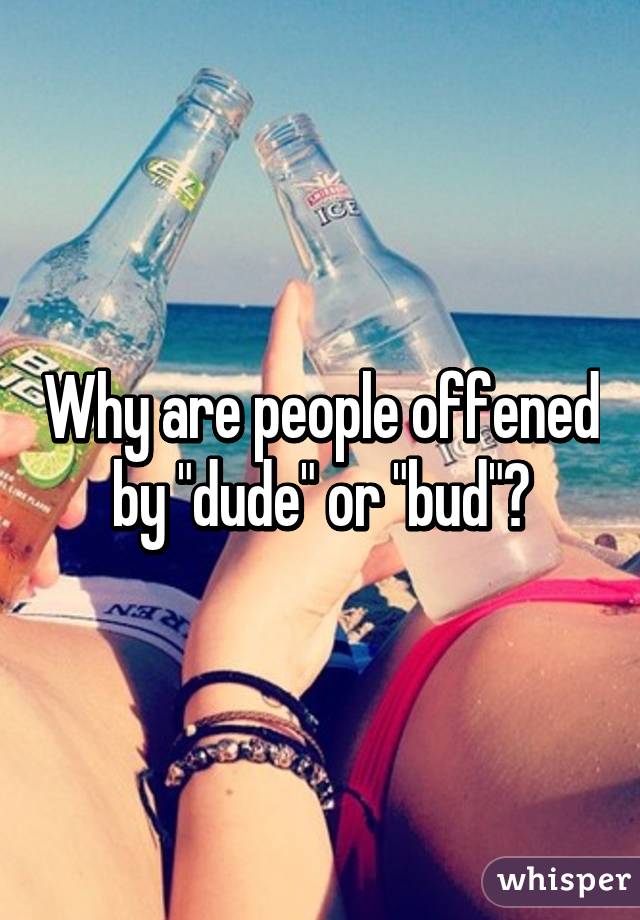 Why are people offened by "dude" or "bud"?
