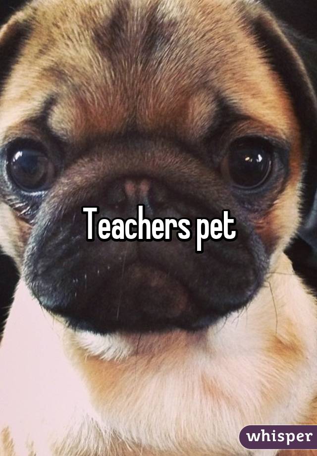 Teachers pet