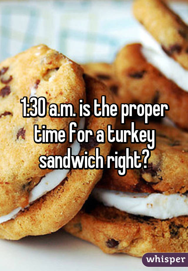 1:30 a.m. is the proper time for a turkey sandwich right?