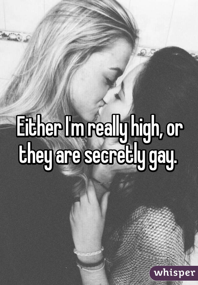 Either I'm really high, or they are secretly gay. 