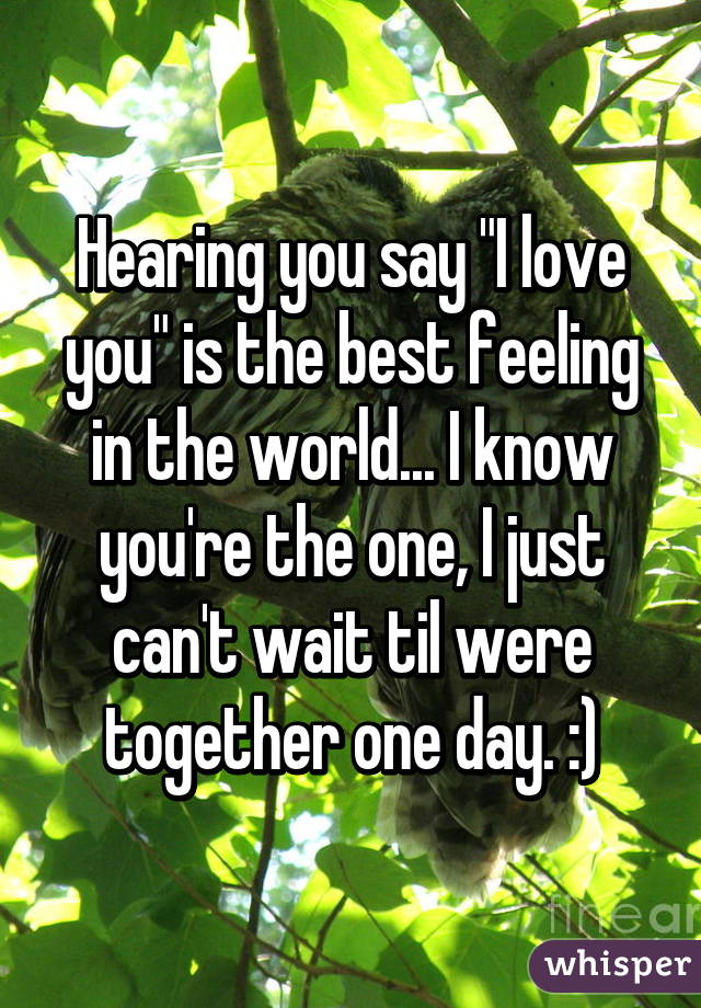 Hearing you say "I love you" is the best feeling in the world... I know you're the one, I just can't wait til were together one day. :)