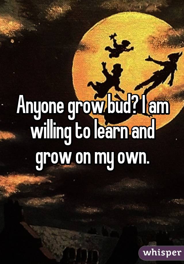 Anyone grow bud? I am willing to learn and grow on my own.