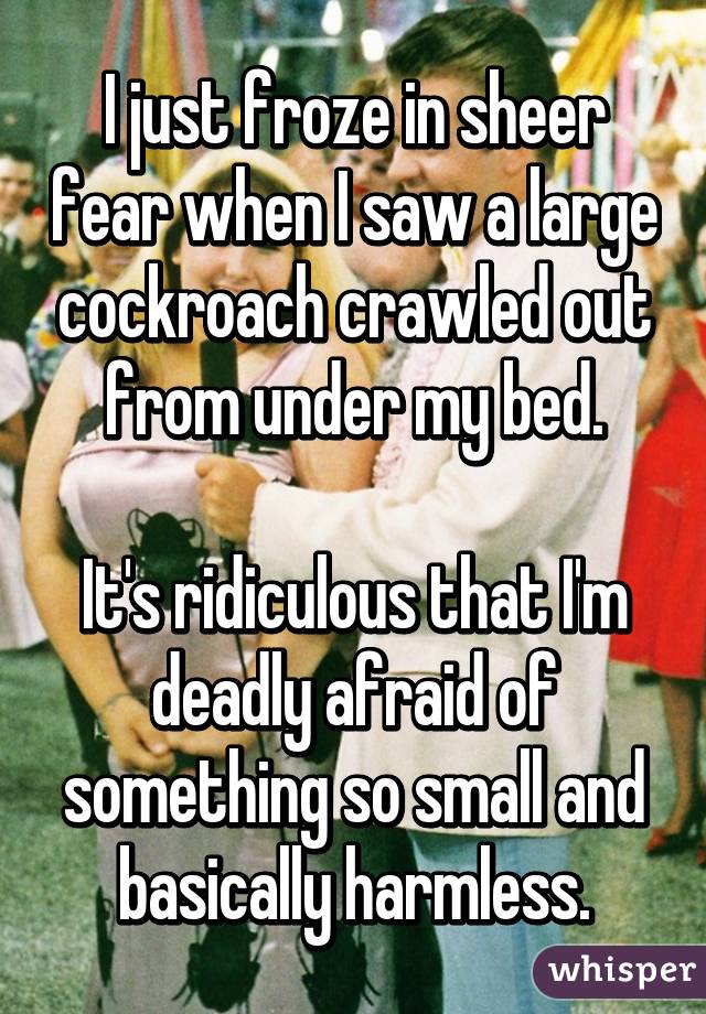 I just froze in sheer fear when I saw a large cockroach crawled out from under my bed.

It's ridiculous that I'm deadly afraid of something so small and basically harmless.