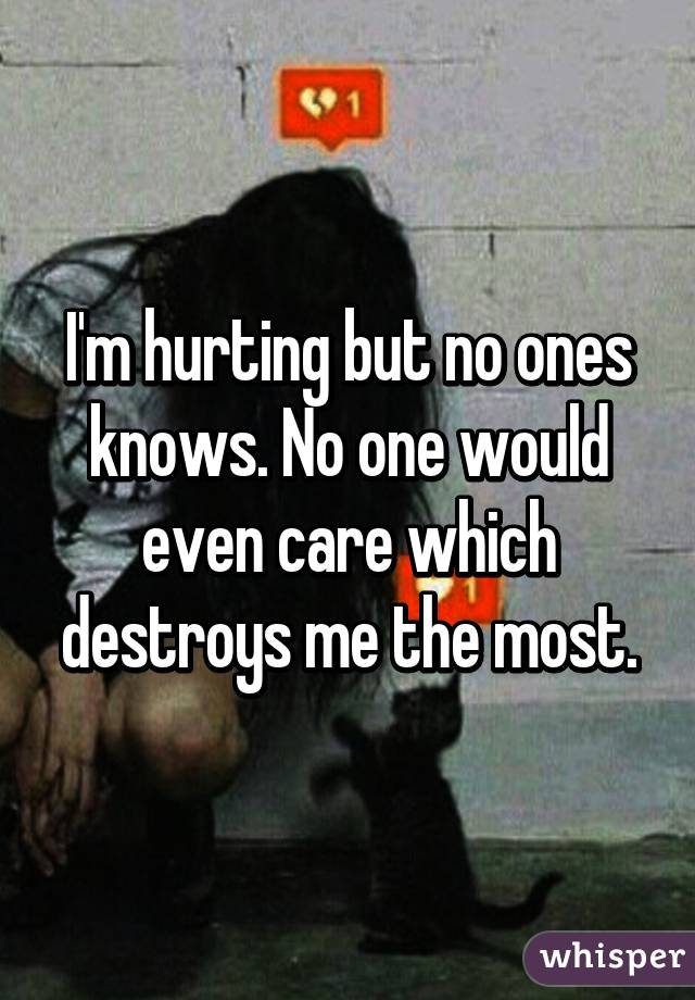 I'm hurting but no ones knows. No one would even care which destroys me the most.