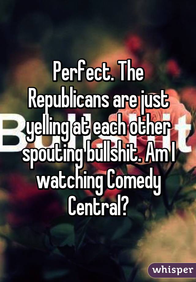 Perfect. The Republicans are just yelling at each other spouting bullshit. Am I watching Comedy Central?