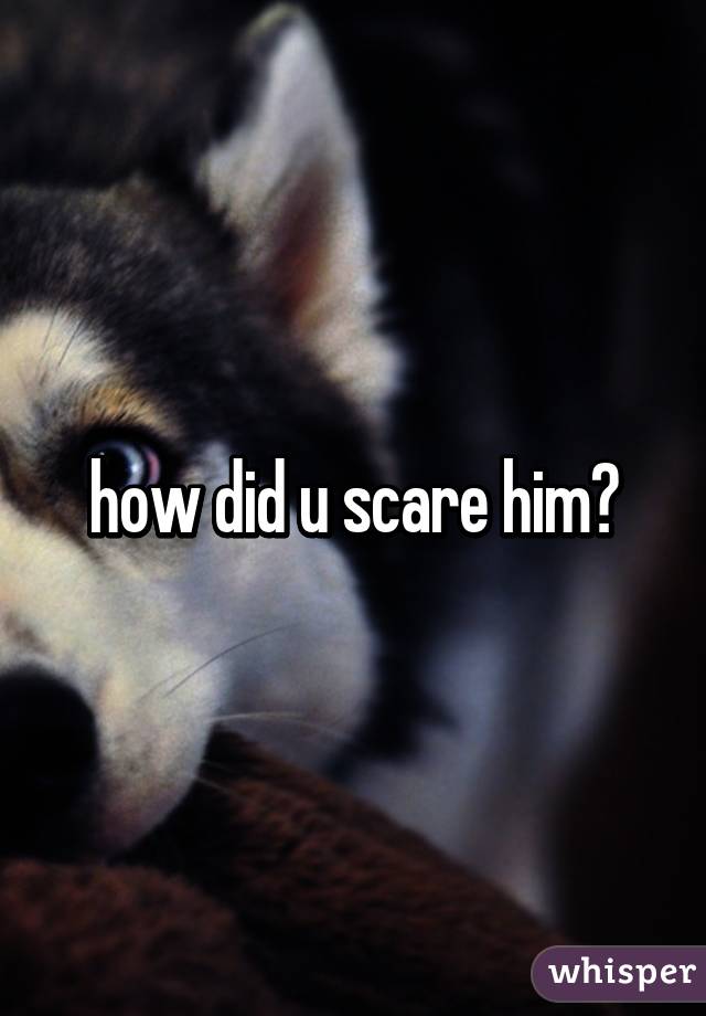 how did u scare him?