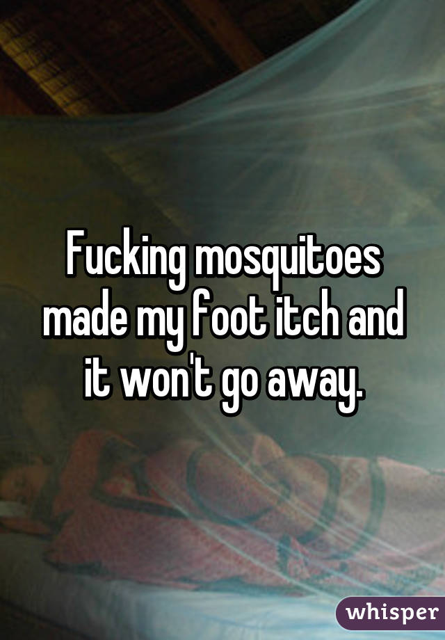 Fucking mosquitoes made my foot itch and it won't go away.