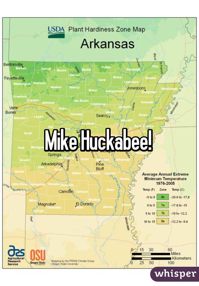Mike Huckabee! 