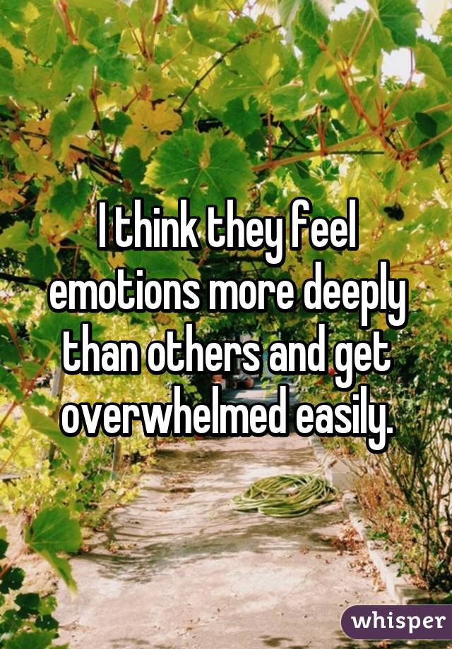 I think they feel emotions more deeply than others and get overwhelmed easily.
