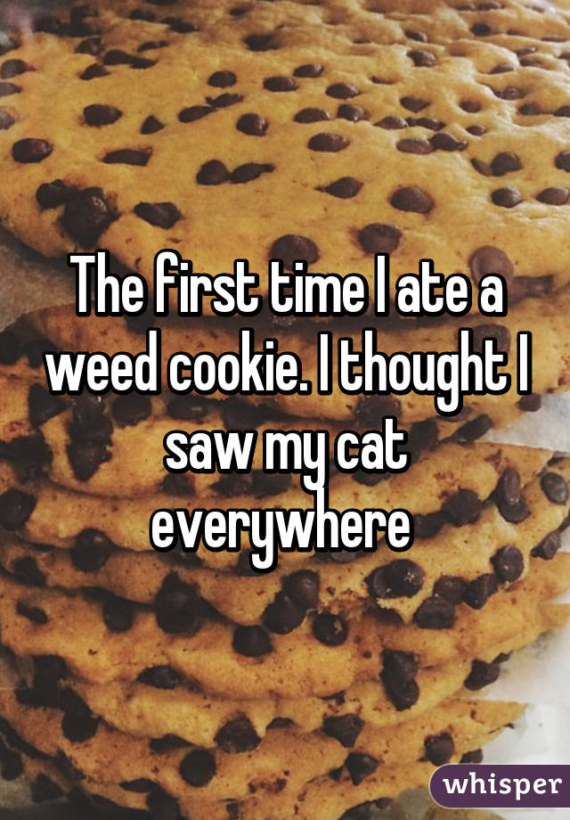 The first time I ate a weed cookie. I thought I saw my cat everywhere 