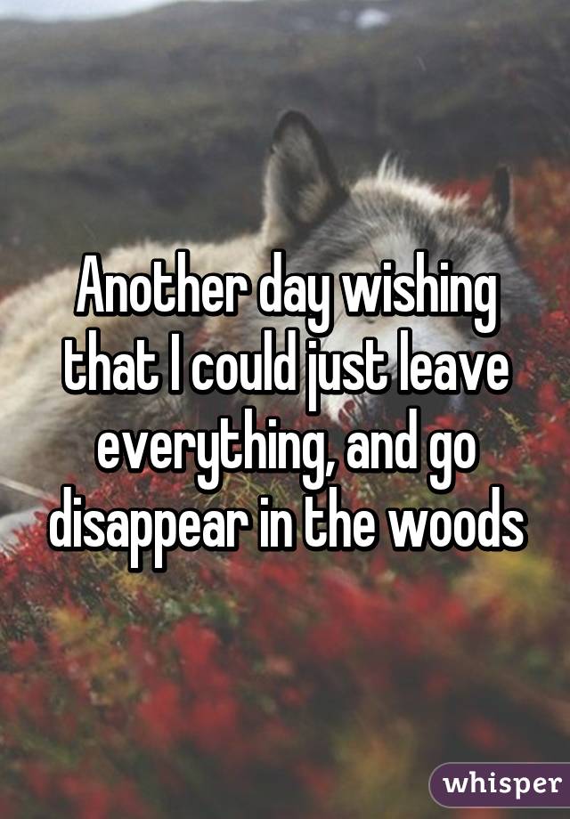 Another day wishing that I could just leave everything, and go disappear in the woods