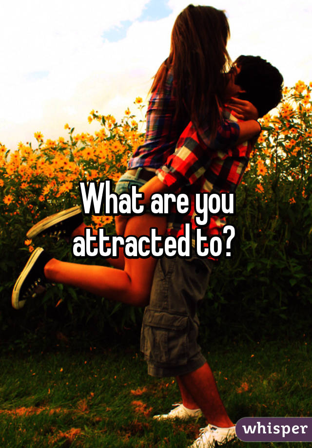 What are you attracted to? 