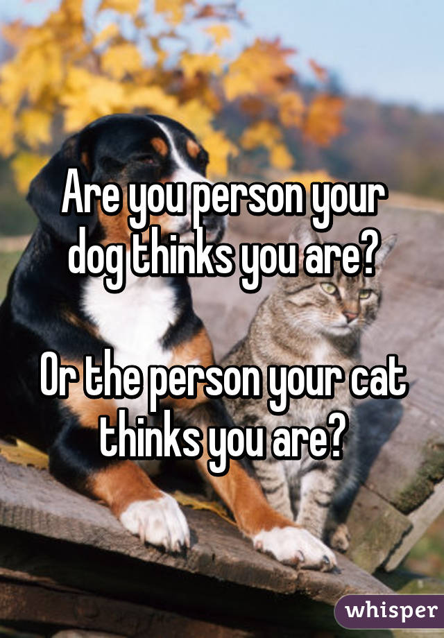 Are you person your dog thinks you are?

Or the person your cat thinks you are?