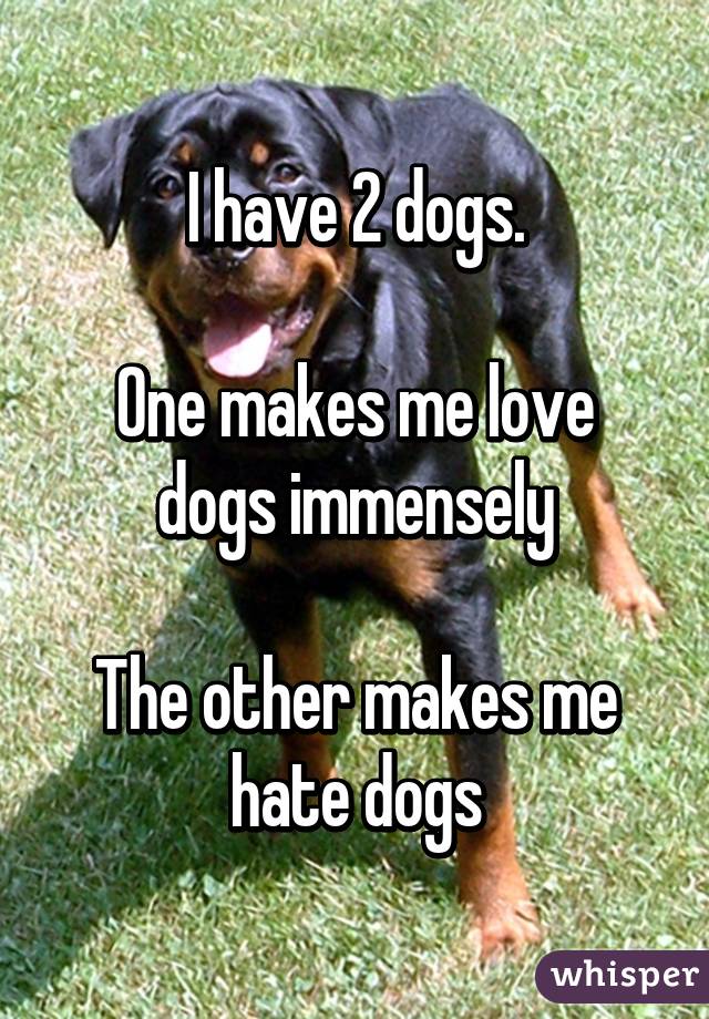 I have 2 dogs.

One makes me love dogs immensely

The other makes me hate dogs