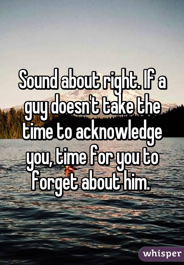 Sound about right. If a guy doesn't take the time to acknowledge you, time for you to forget about him. 