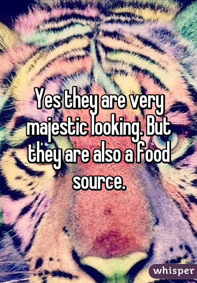 Yes they are very majestic looking. But they are also a food source.