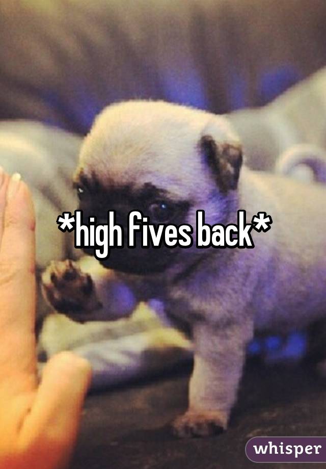 *high fives back*