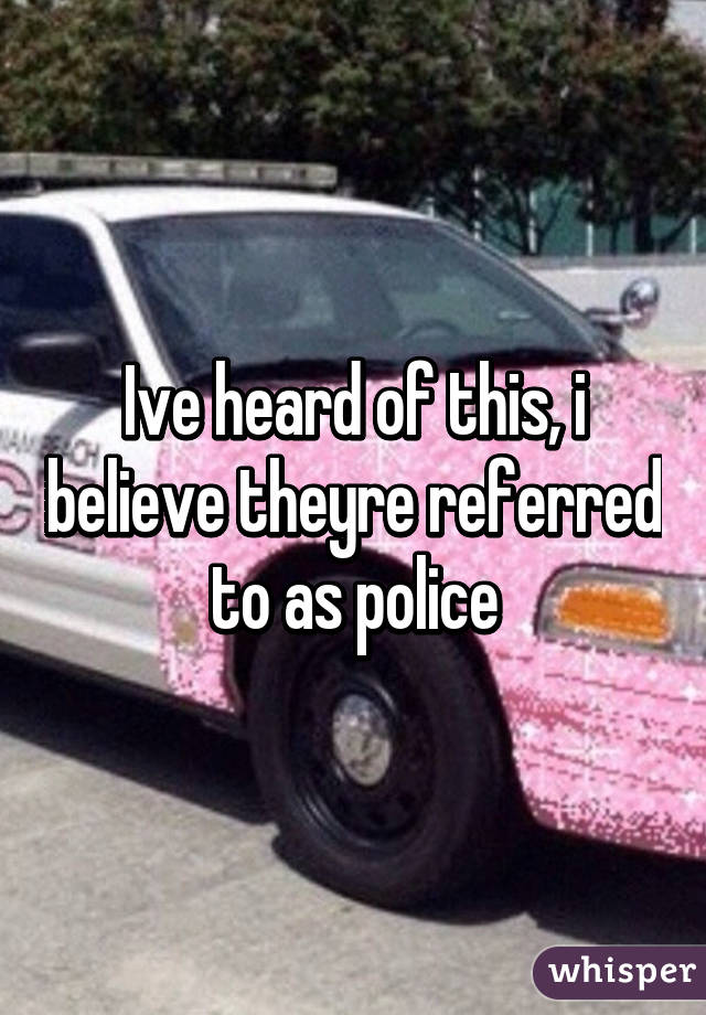 Ive heard of this, i believe theyre referred to as police