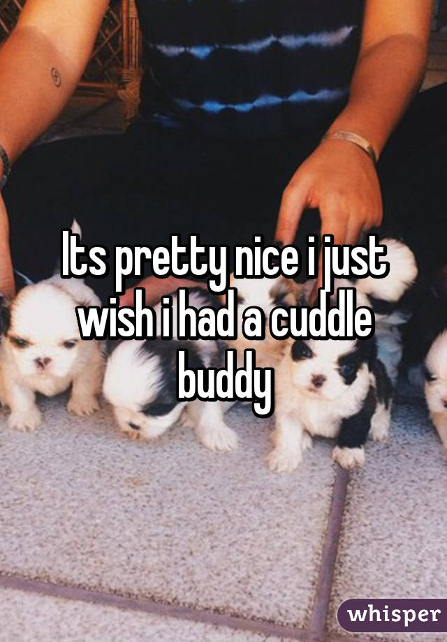 Its pretty nice i just wish i had a cuddle buddy
