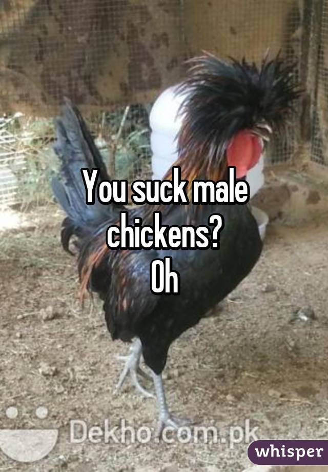 You suck male chickens?
Oh
