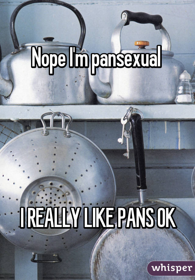 Nope I'm pansexual 





I REALLY LIKE PANS OK