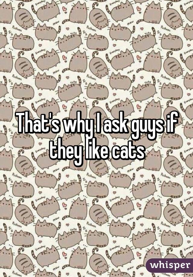 That's why I ask guys if they like cats
