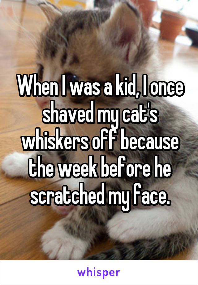 When I was a kid, I once shaved my cat's whiskers off because the week before he scratched my face.
