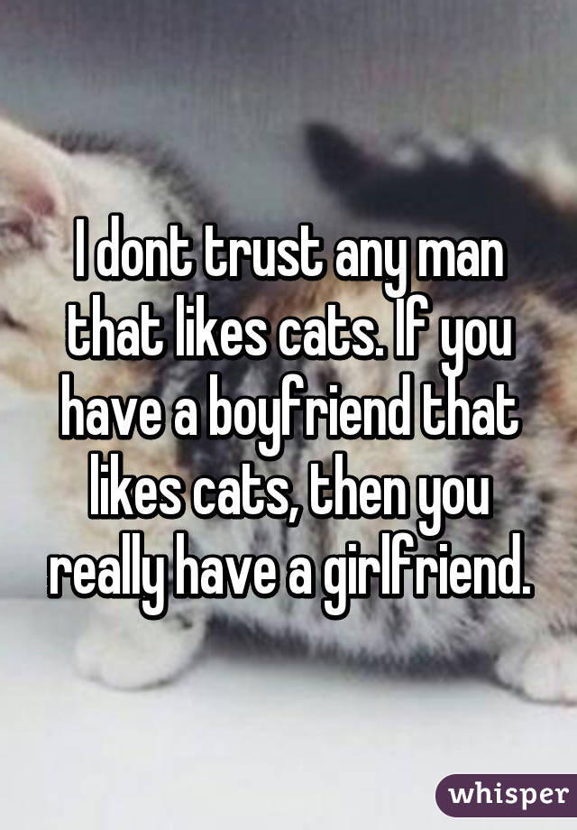 I dont trust any man that likes cats. If you have a boyfriend that likes cats, then you really have a girlfriend.