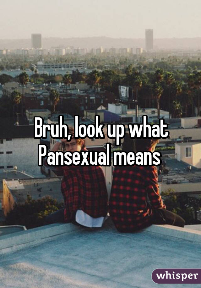 Bruh, look up what Pansexual means 