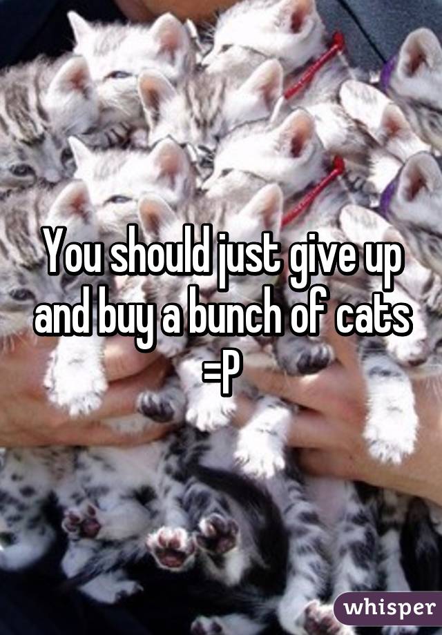 You should just give up and buy a bunch of cats =P