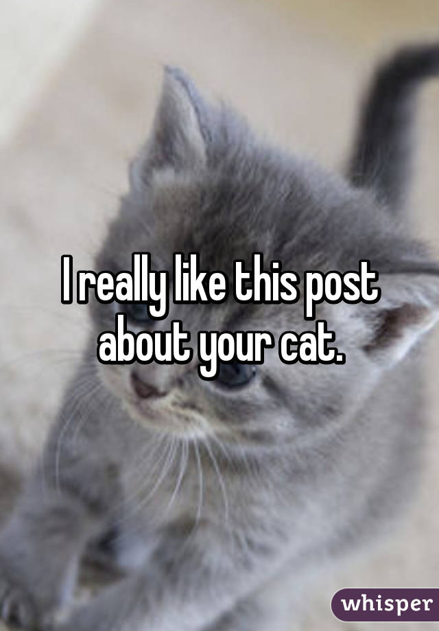 I really like this post about your cat.