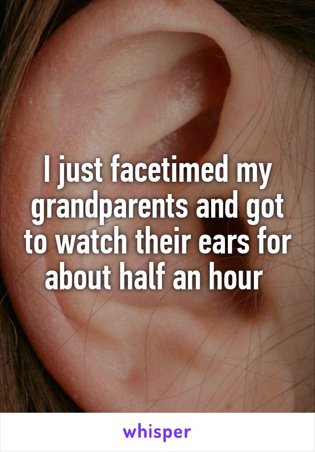 I just facetimed my grandparents and got to watch their ears for about half an hour 