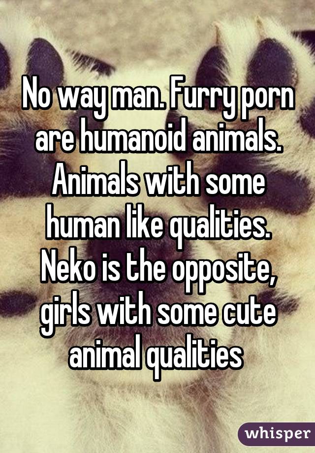 No way man. Furry porn are humanoid animals. Animals with some human like qualities. Neko is the opposite, girls with some cute animal qualities 