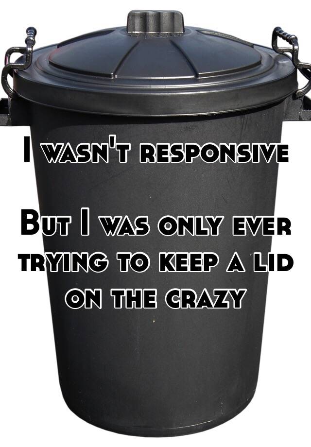 i-wasn-t-responsive-but-i-was-only-ever-trying-to-keep-a-lid-on-the-crazy