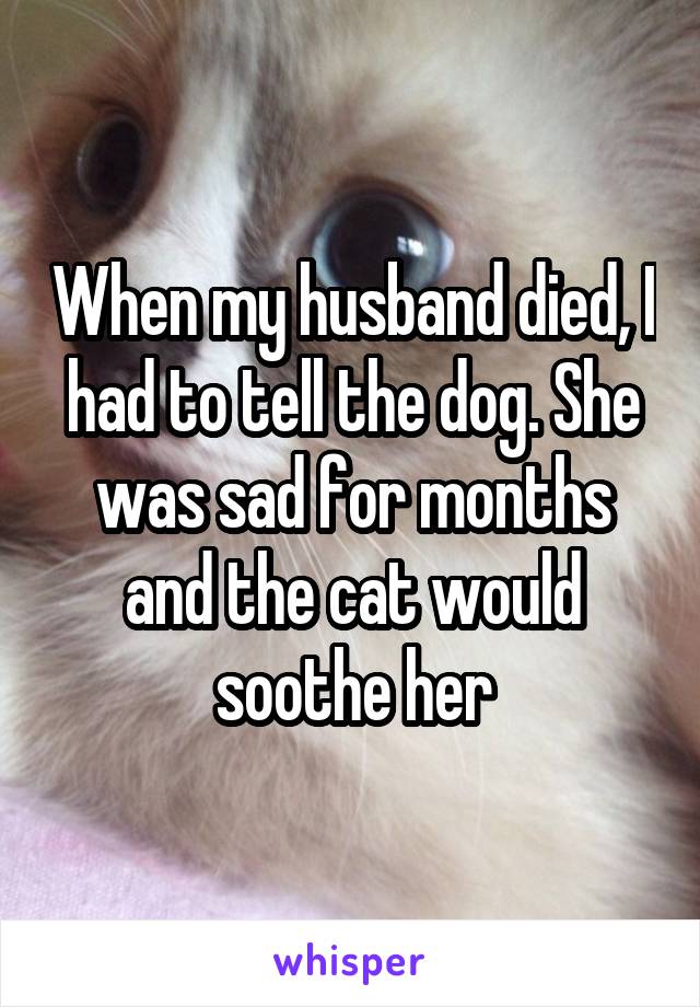 When my husband died, I had to tell the dog. She was sad for months and the cat would soothe her