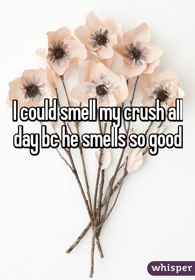 I could smell my crush all day bc he smells so good 