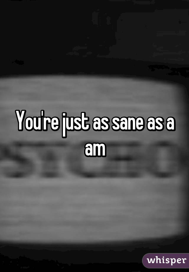 You're just as sane as a am