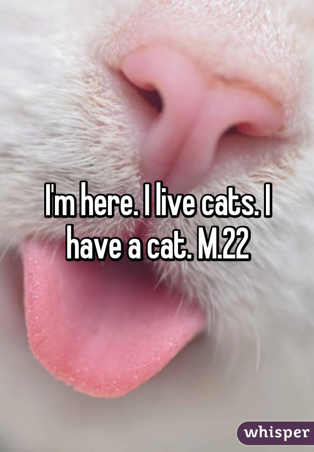 I'm here. I live cats. I have a cat. M.22