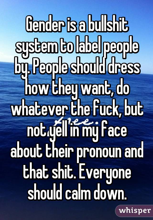 Gender is a bullshit system to label people by. People should dress how they want, do whatever the fuck, but not yell in my face about their pronoun and that shit. Everyone should calm down.